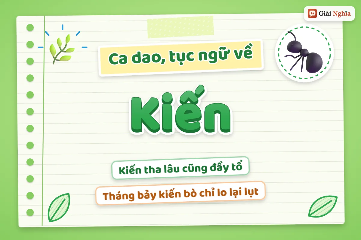Ca dao tục ngữ về kiến