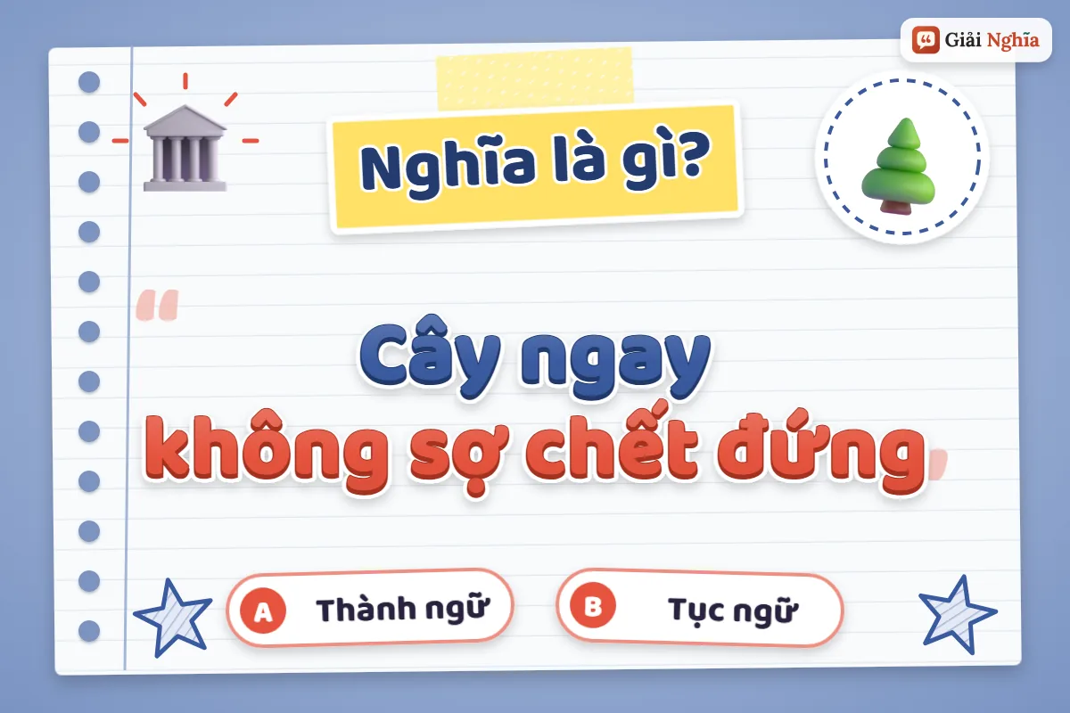 Cây ngay không sợ chết đứng nghĩa là gì