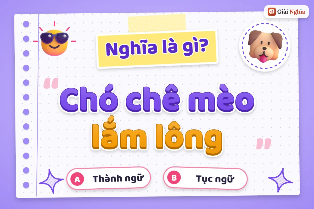 Chó chê mèo lắm lông nghĩa là gì