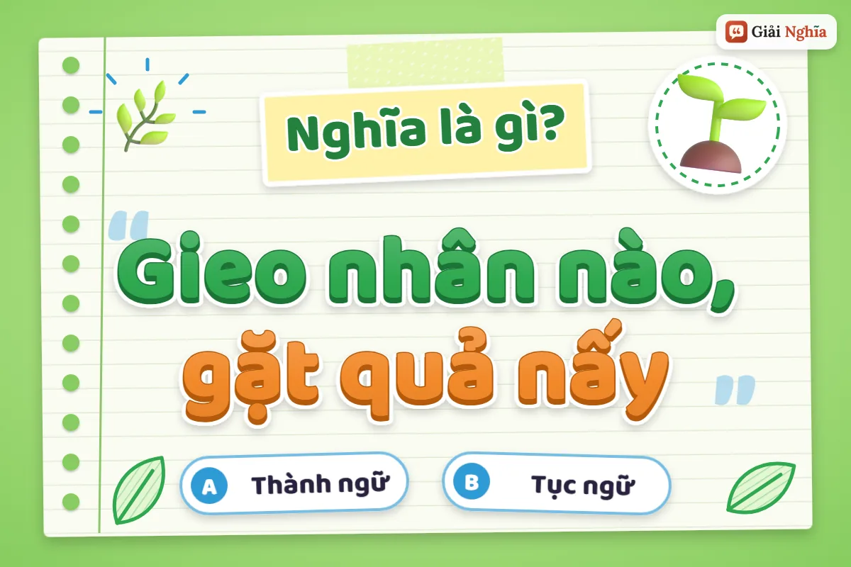 Gieo nhân nào, gặt quả nấy nghĩa là gì