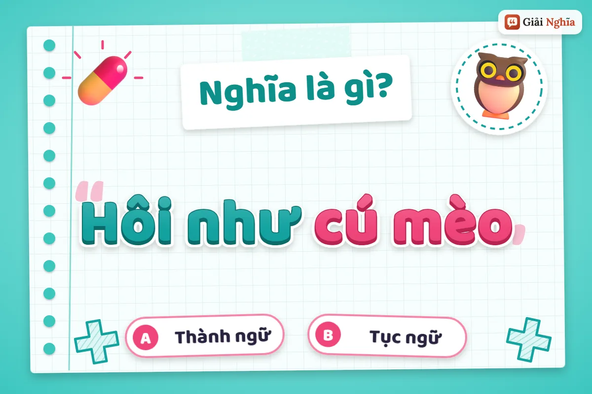 Hôi như cú mèo nghĩa là gì