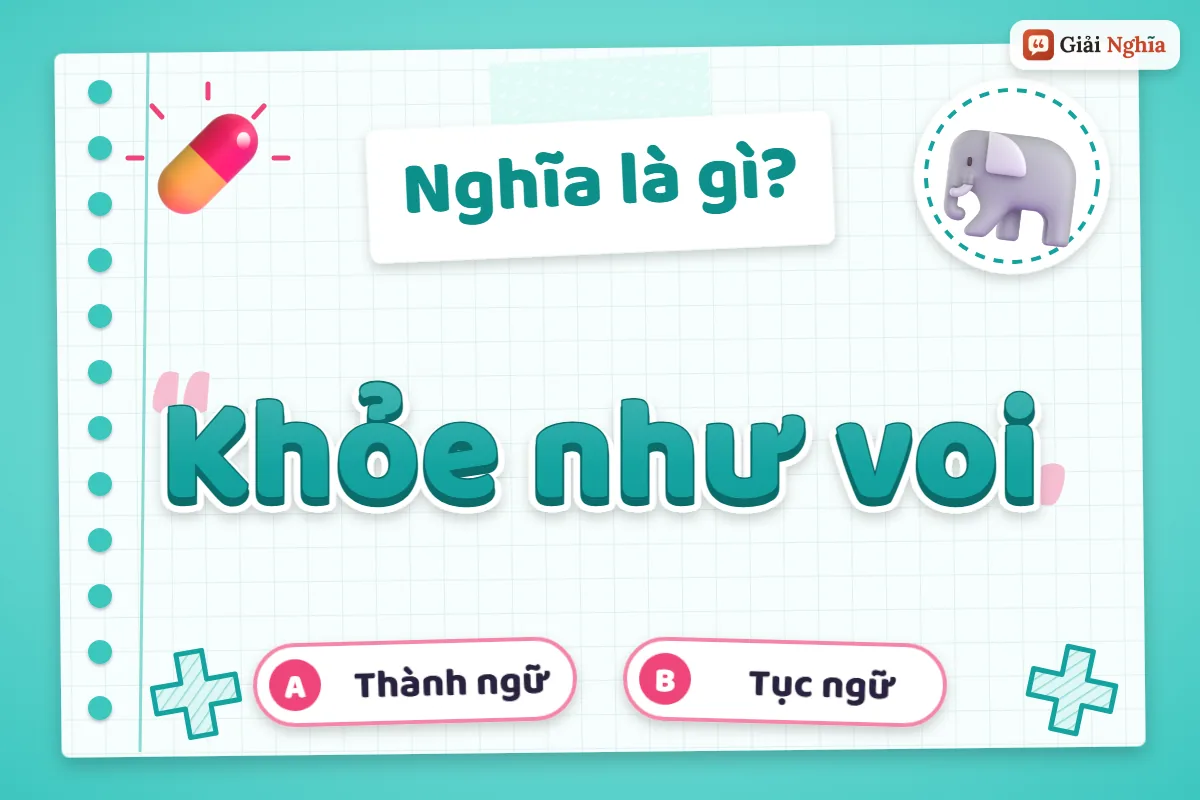 Khỏe như voi nghĩa là gì