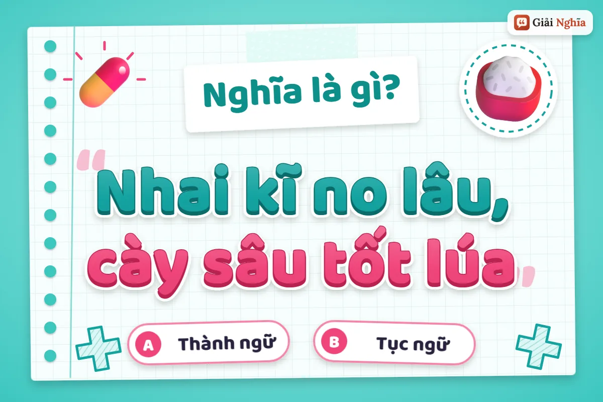 Giải thích câu tục ngữ “Nhai kĩ no lâu”