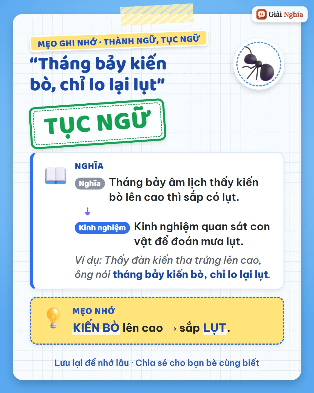 Mẹo ghi nhớ: kiến bò lên cao là sắp lụt.