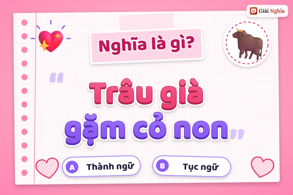 Trâu già gặm cỏ non nghĩa là gì