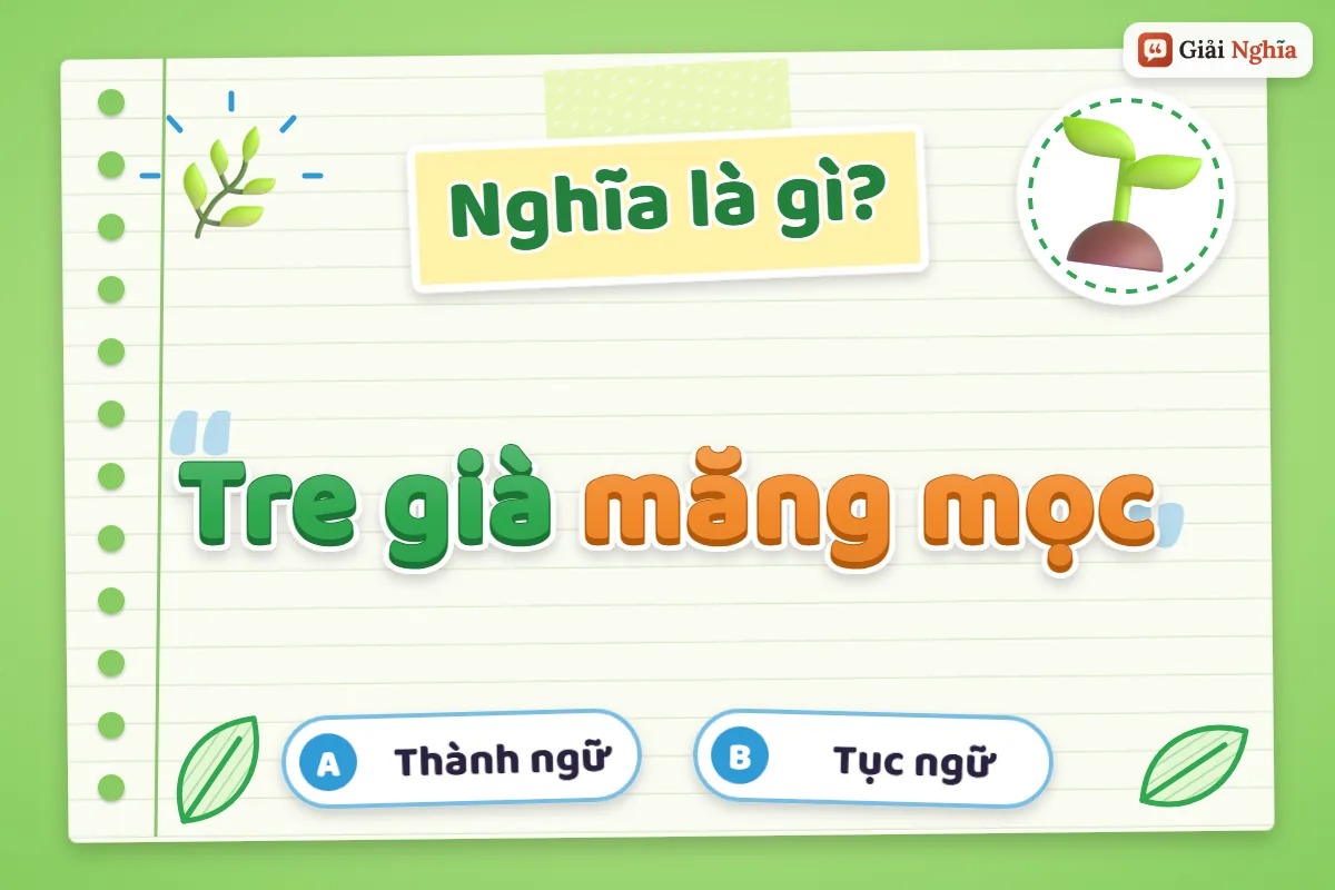 Giải thích câu tục ngữ “Tre già măng mọc”