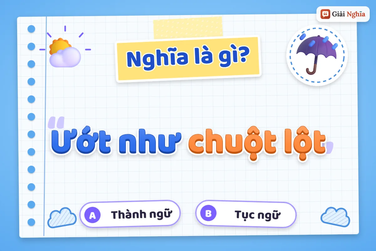 Ướt như chuột lột là gì
